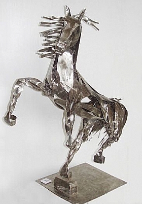 Irlande - le Cheval, Sophie Raine - Sophie RAINE